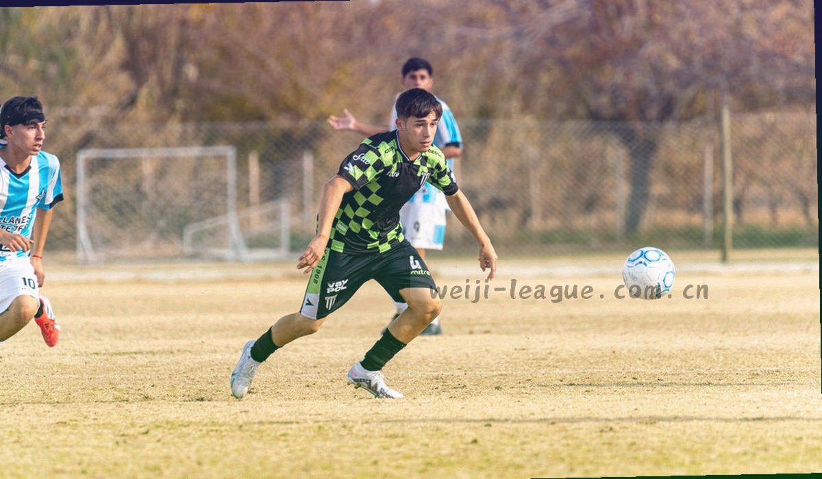 多维评分条形对比的信息图